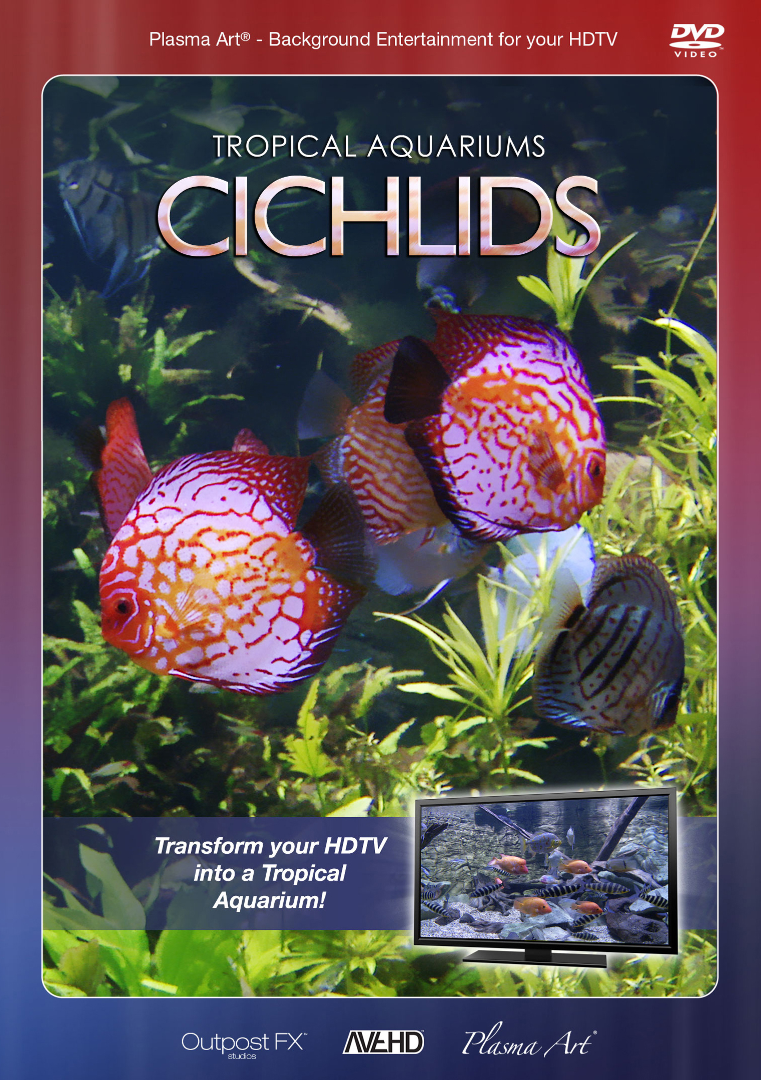 Plasma Art: Tropical Aquariums Plasma Art: Tropical Aquariums