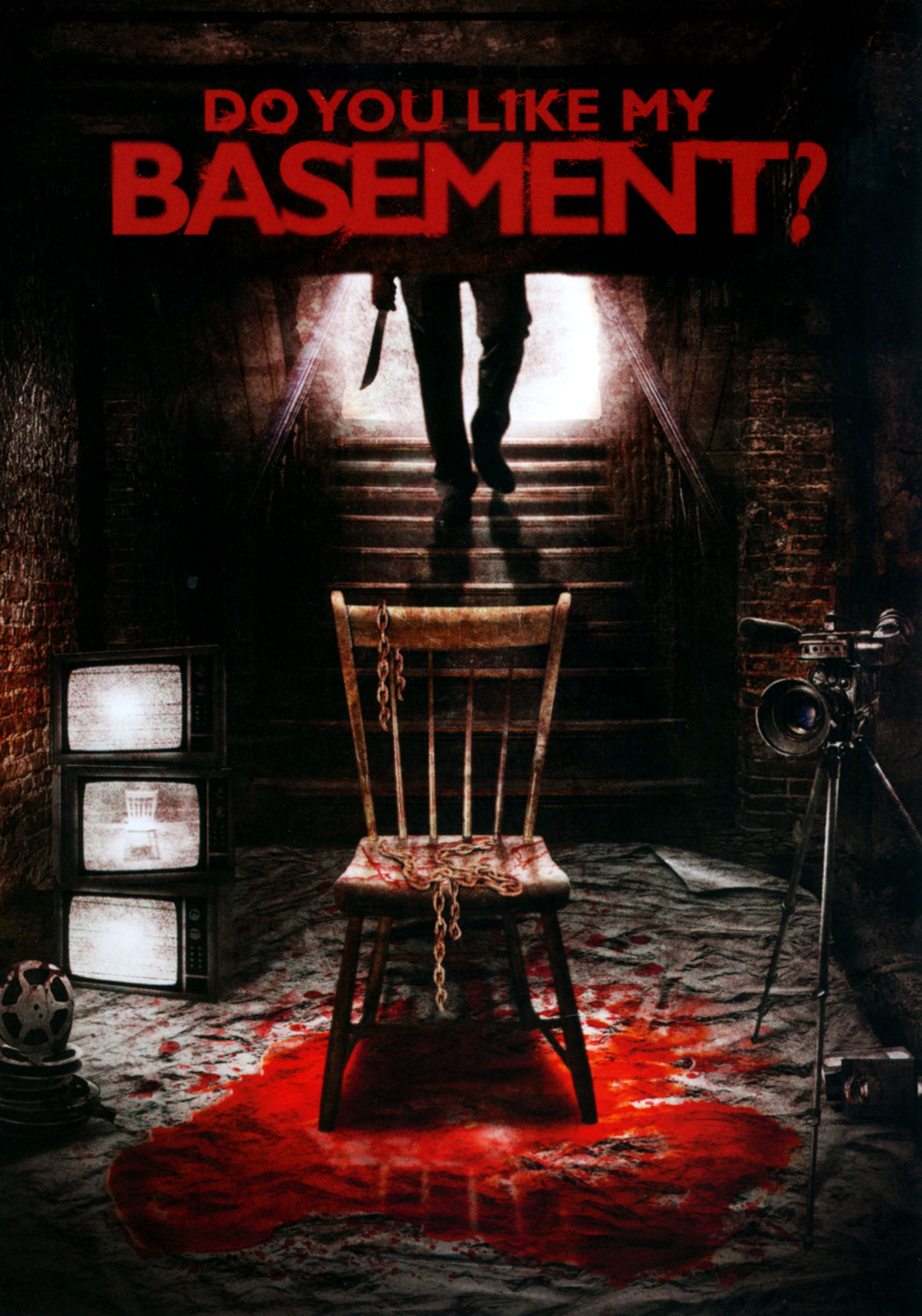 Do You Like My Basement? (2014) Do You Like My Basement? (2014)