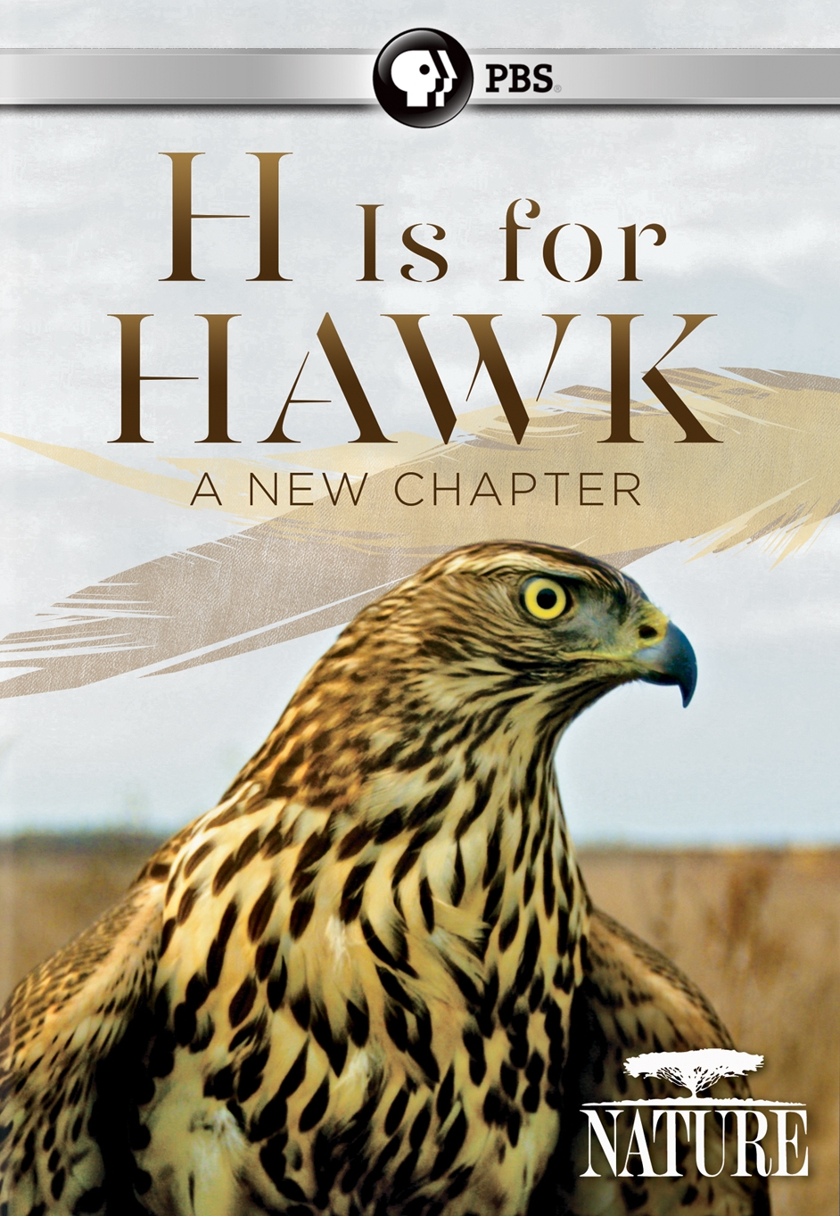 h is for hawk goodreads
