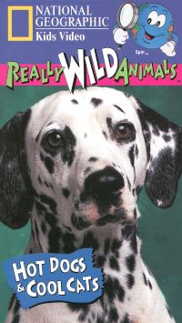 Really Wild Animals Hot Dogs And Cool Cats Really Wild Animals Hot Dogs And Cool Cats