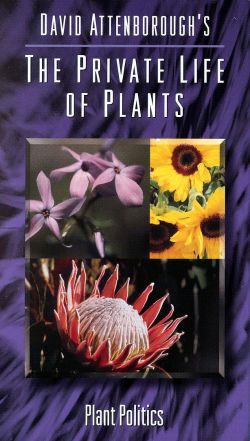 David Attenborough's The Private Life of Plants: Plant Politics (1995) David Attenborough's The Private Life of Plants: Plant Politics (1995)