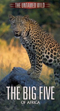 Untamed Wild: The Big Five of Africa Untamed Wild: The Big Five of Africa