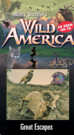 Marty Stouffer's Wild America: Great Escapes - | Related | AllMovie