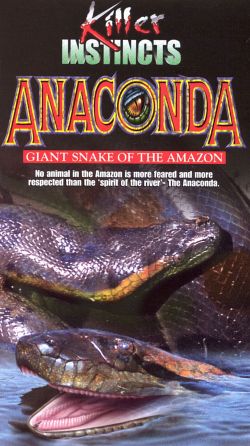 Killer Instincts Anaconda Giant Snake Of The Amazon