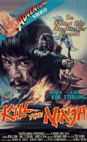 Kill the Ninja