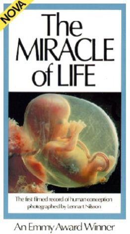 NOVA : The Miracle Of Life (1983) - | Synopsis, Characteristics, Moods ...