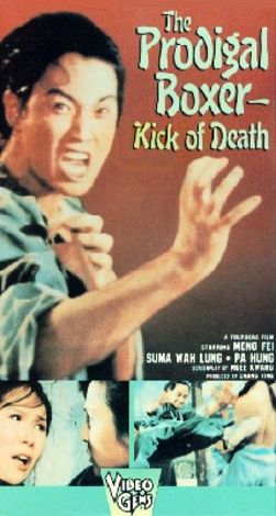 Kung Fu: The Punch of Death