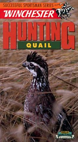 Hunting Quail