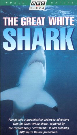 The Great White Shark