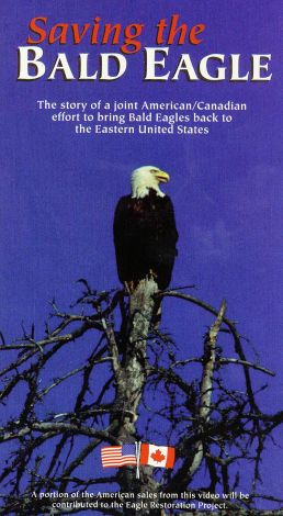 Saving the Bald Eagle (1999) - | Synopsis, Characteristics, Moods