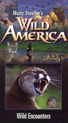 Marty Stouffer's Wild America: Wild Encounters