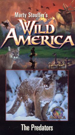 Marty Stouffer's Wild America: The Predators