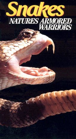 Snakes: Nature's Armored Warriors