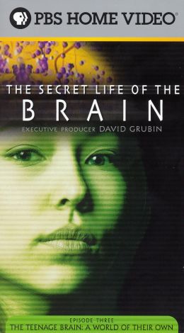 The Secret Life of the Brain : The Teenage Brain: A World of Their Own