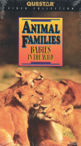 Animal Families: Babies in the Wild (1997) - | Synopsis, Characteristics, Moods, Themes and Related | AllMovie Animal Families: Babies in the Wild (1997) - | Synopsis, Characteristics, Moods, Themes and Related | AllMovie