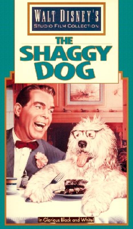 The Shaggy Dog (1959) - Charles Barton | Synopsis, Characteristics ...
