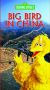 Sesame Street: Big Bird in China