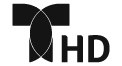 TELEM Logo