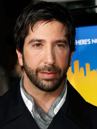 David Schwimmer