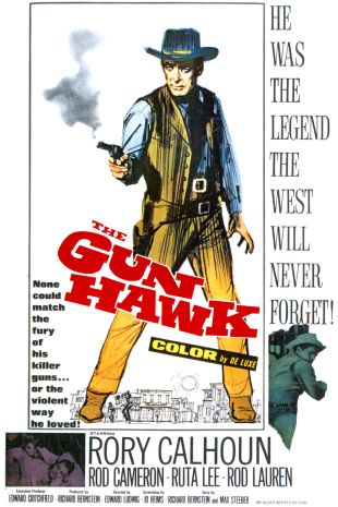 The Gun Hawk