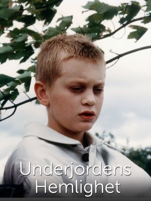 Underjordens Hemlighet (1991) - Clas Lindberg | Synopsis ...