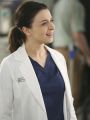 Grey's Anatomy : Could We Start Again, Please?