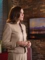 The Good Wife : Shiny Objects