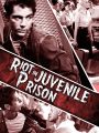 Riot in Juvenile Prison