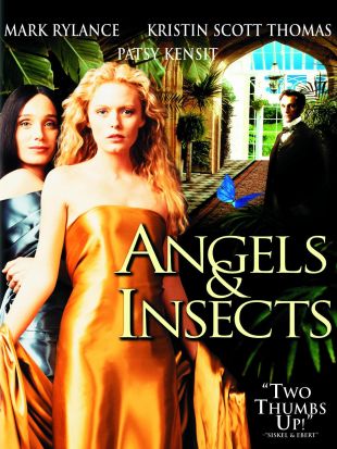 Angels & Insects