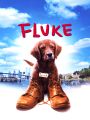 Fluke