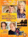 The Best Exotic Marigold Hotel