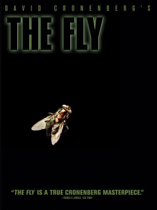 The Fly