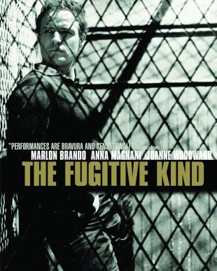 The Fugitive Kind