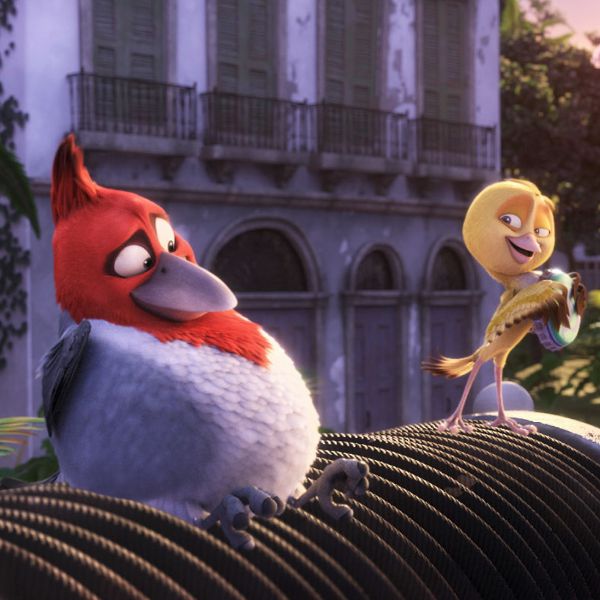 Rio (2011) - Carlos Saldanha | Cast and Crew | AllMovie