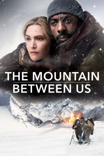 The Mountain Between Us (2017) ORG Hindi Dual Audio 480p BluRay ESubs 350MB