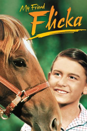 My Friend Flicka (1943) - Harold Schuster, Harold D ...