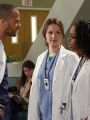 Grey's Anatomy : The Face of Change