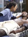 Grey's Anatomy : Deterioration of the Fight or Flight Response