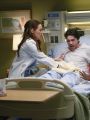 Grey's Anatomy : Crazy Love