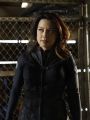 Marvel's Agents of S.H.I.E.L.D. : The Patriot