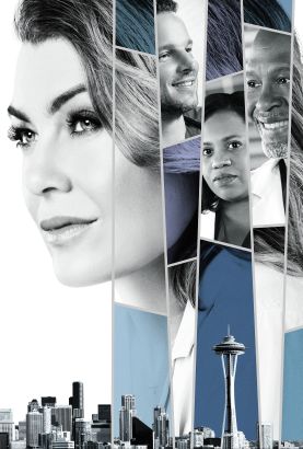 Grey's Anatomy TV Series (2005) - Peter Horton ...