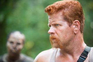 The Walking Dead: The Distance (2015) The Walking Dead: The Distance (2015)