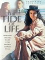 Catherine Cookson's Tide of Life