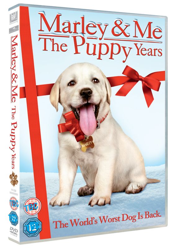 Marley & Me: The Puppy Years (2011) - Michael Damian | Synopsis ...