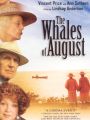 The Whales of August