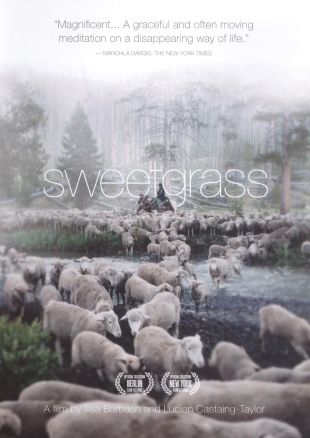 Sweetgrass