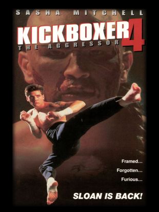 Kickboxer 4: The Aggressor