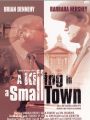 A Killing in a Small Town