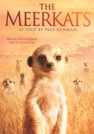 The Meerkats