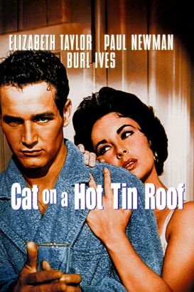 Cat On A Hot Tin Roof Theme Essay
